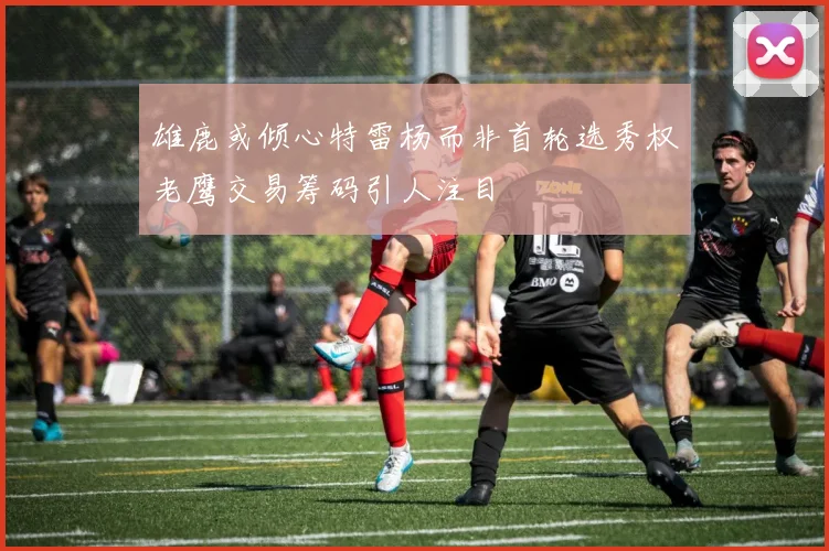雄鹿或倾心特雷杨而非首轮选秀权老鹰交易筹码引人注目